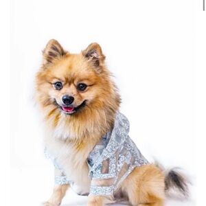 Chic Silver Dog Outfit